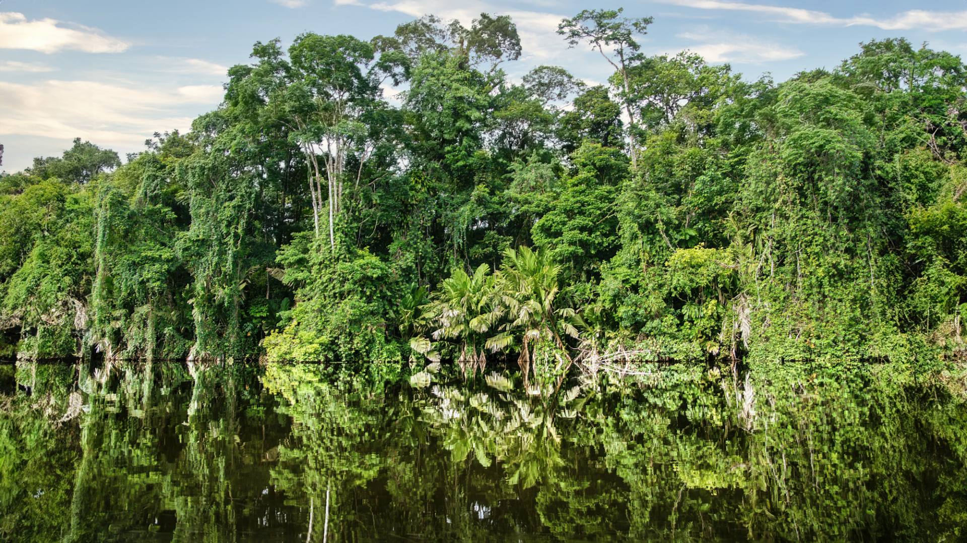 Bootsfahrt im NP Tortuguero